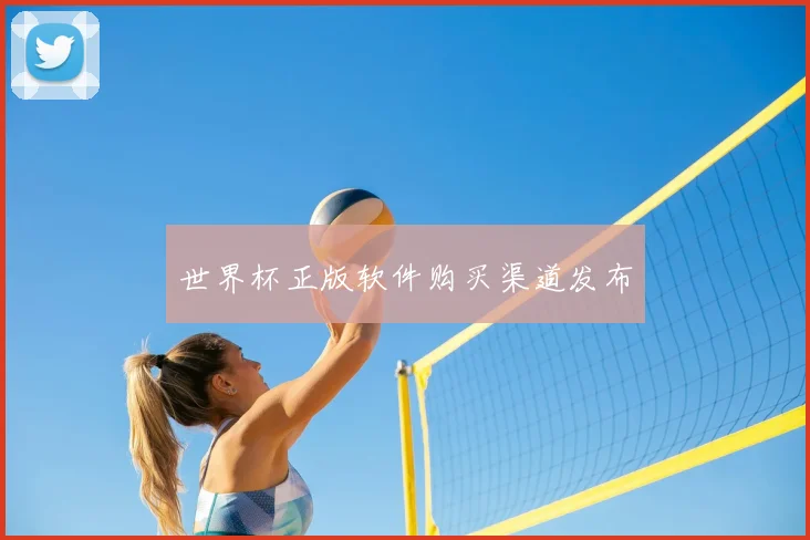 世界杯正版软件购买渠道发布