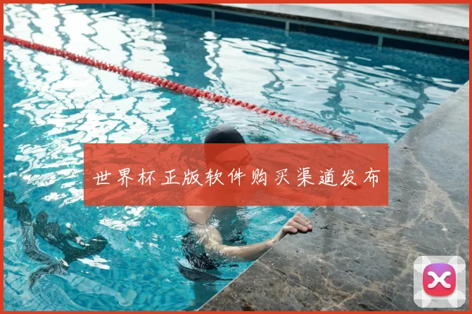 世界杯正版软件购买渠道发布