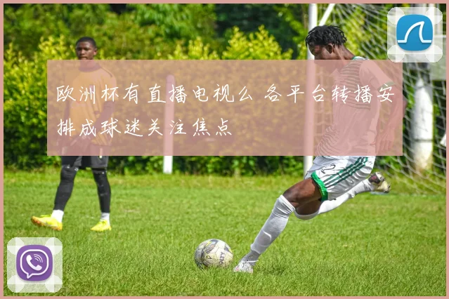 欧洲杯有直播电视么 各平台转播安排成球迷关注焦点
